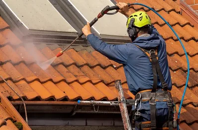 Démoussage et hydrofuge de toiture à Ambrief